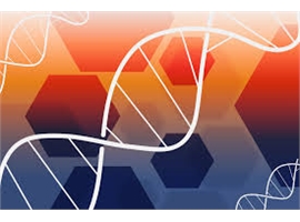 Carbon Nanotube Dispersions & Pastes